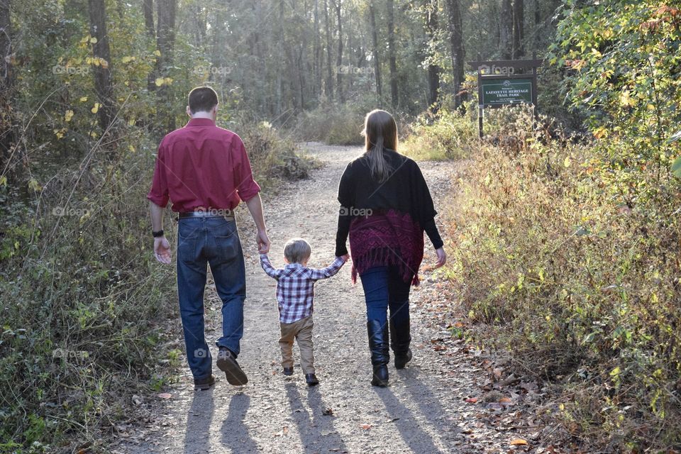 Walking in the Woods