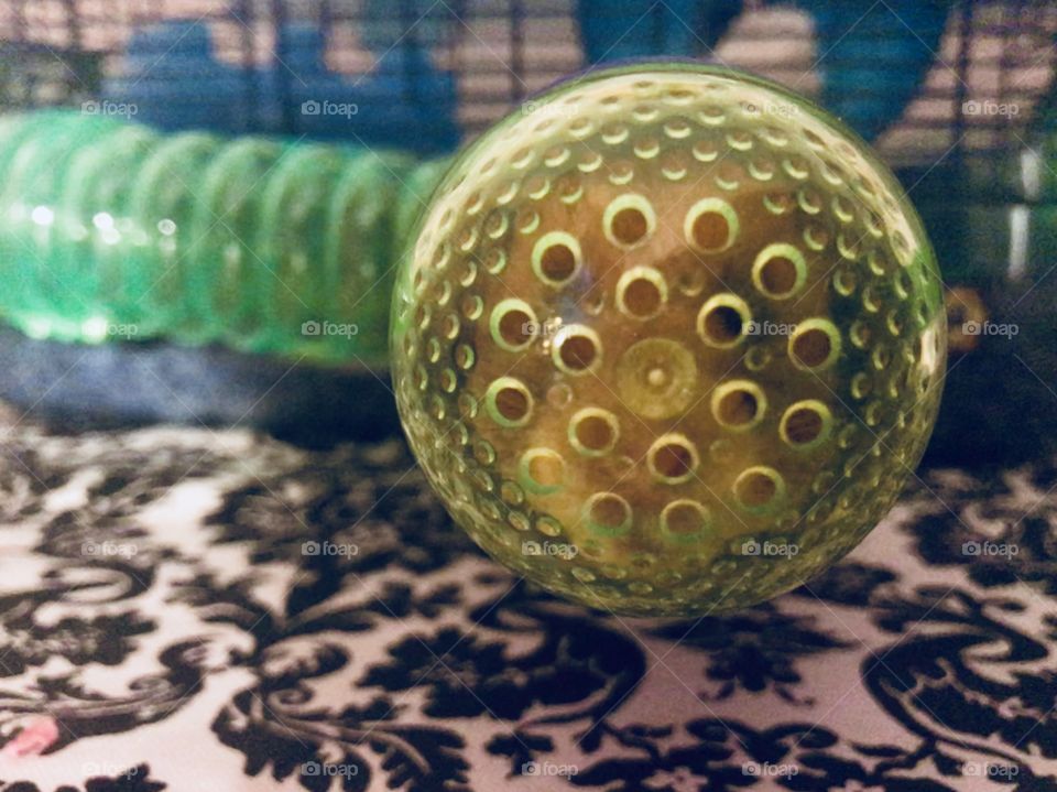 Hamster crawl space and if you look closely you'll see a face! 