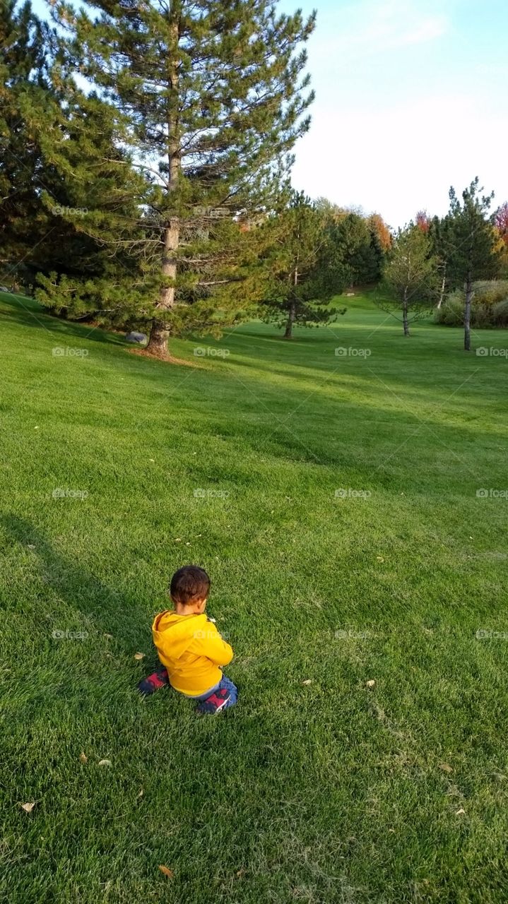 Little boy playing in Denver, Colorado park in autumn