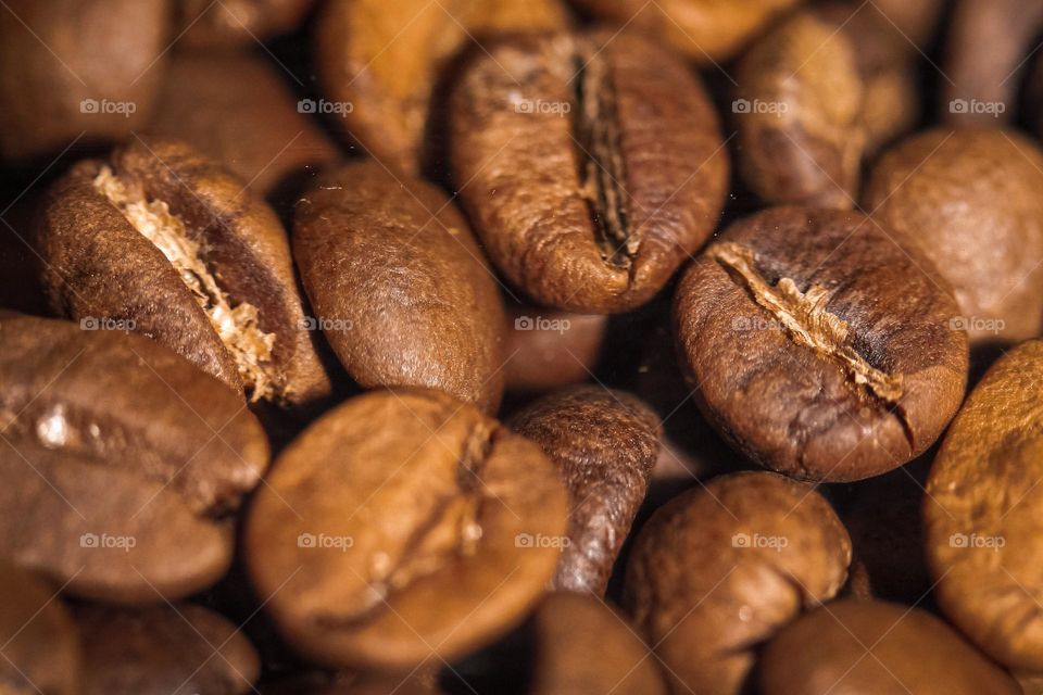 coffee seeds