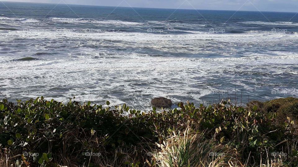 Oregon Coast
