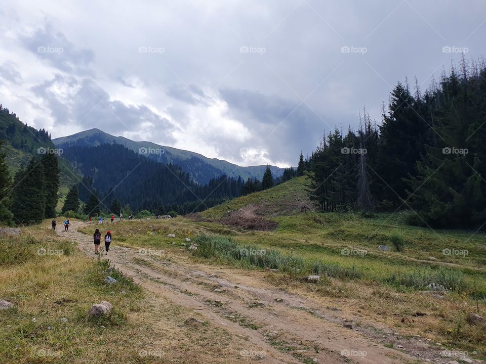 in the mountains before the rain on the trail