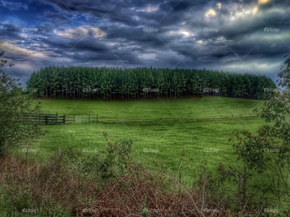 Grassy land against storm clouds