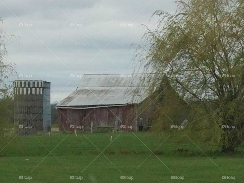 Driving the Back Roads and enjoying everything around us