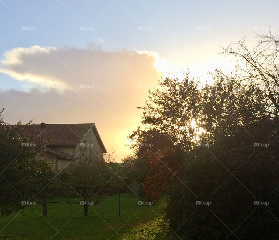 The garden at sunset 