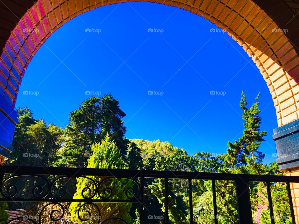 Refreshing view of nature from a balcony with a beautiful brick arch.