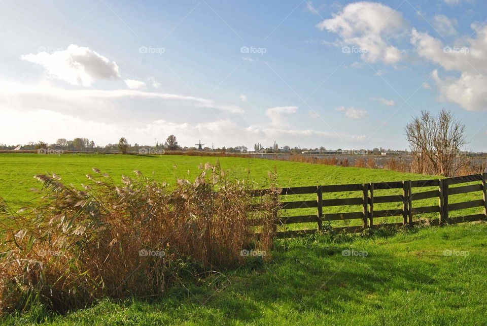 Dutch landscape meadow with wind mill on the horizon and wooden fence