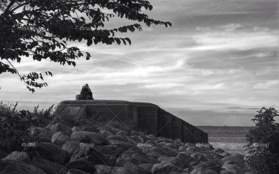 sky white black tree by bradman