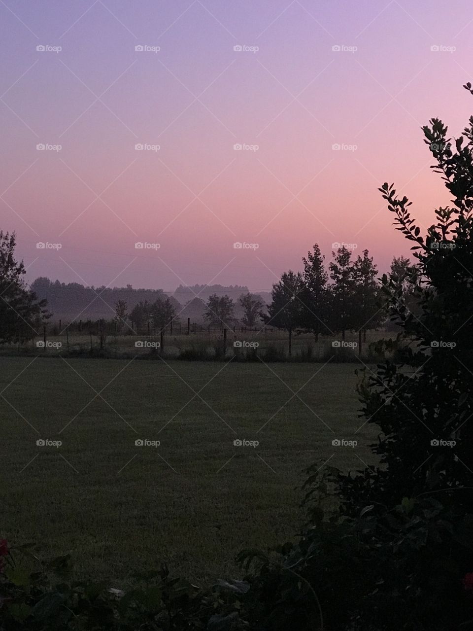 Misty September Morning in Georgia. As the sun slides narrower on the horizon as we approach the autumn, the temperatures are dropping overnight, and when they hover at the dew point we get this magical mist. Silent, beautiful, and fleeting.