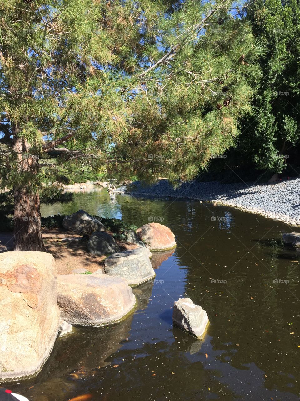 Japanese garden