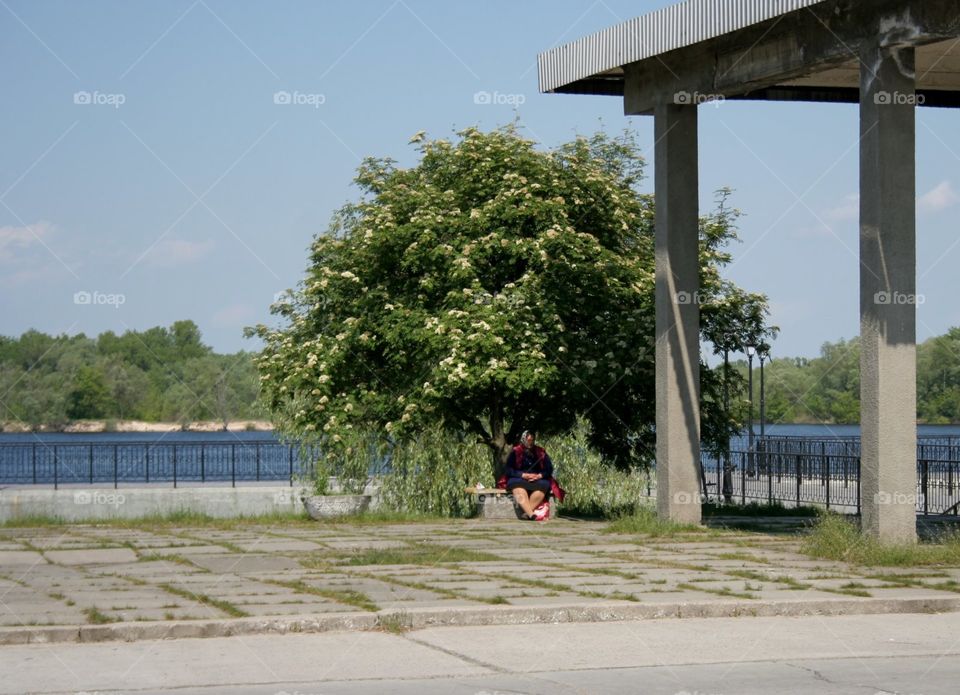 Road, Tree, No Person, Outdoors, Travel