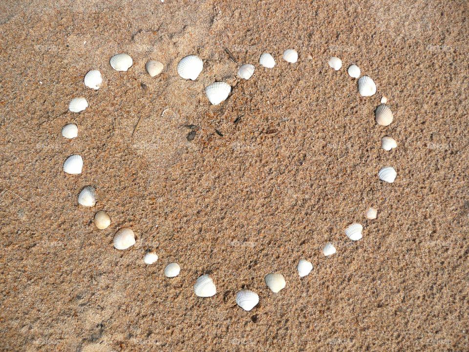seashells heart