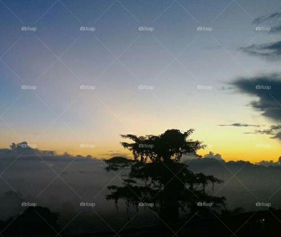 morning sun on the hill