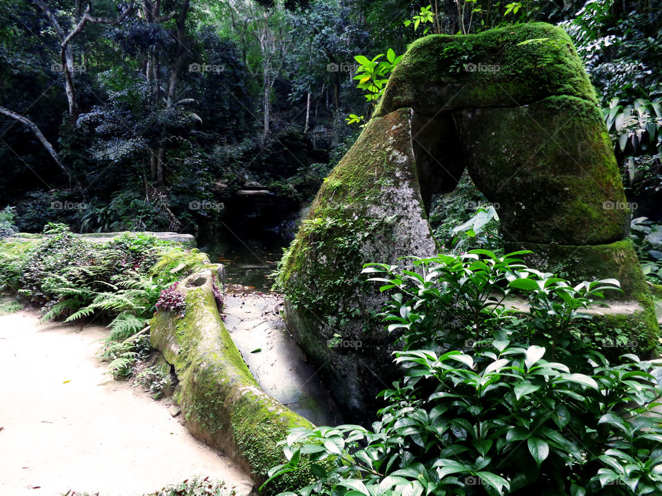 Forest (Parque Lage/RJ/SP)