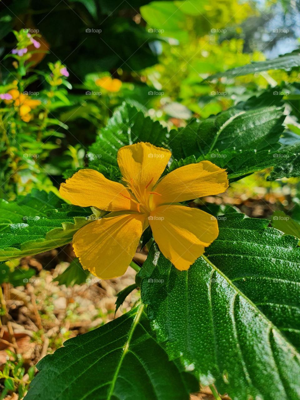 Editors ' Choice : Photo of the week