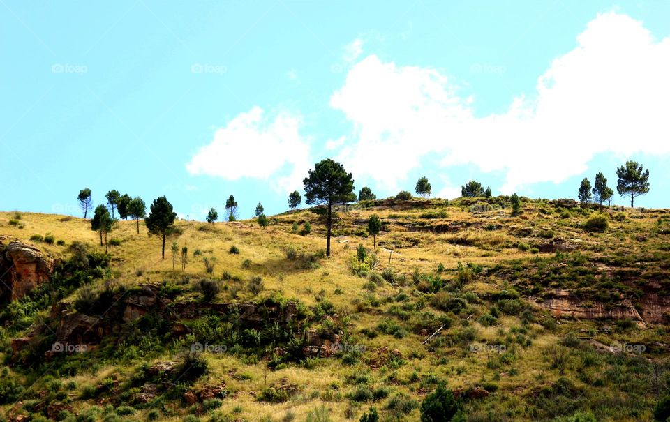 nice sunny day on the mountain