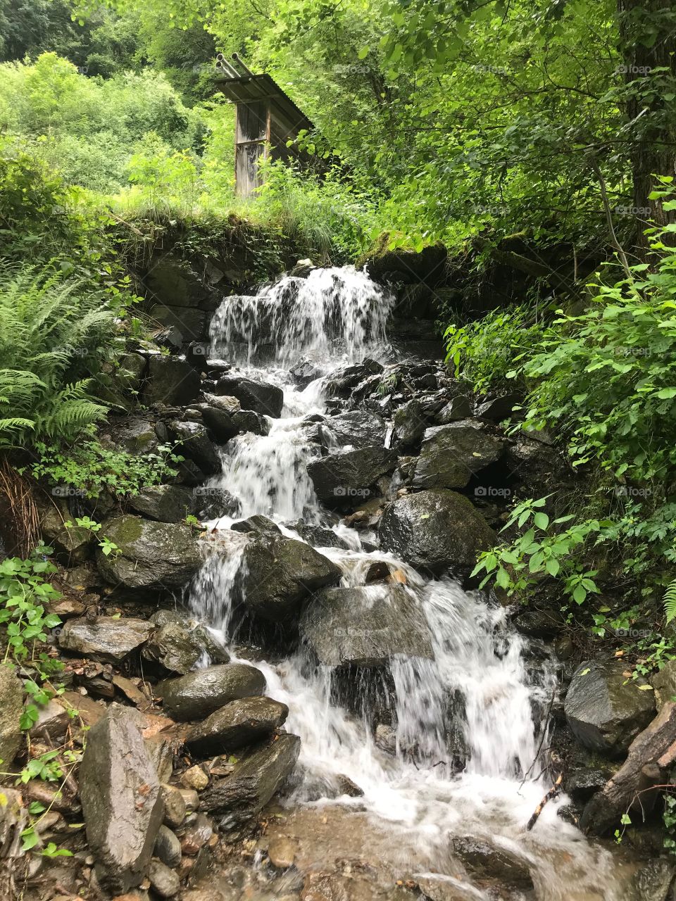 a small waterfall is flowing from above, wet dark gray rocks. There are many trees and grass around , I am standing on the small trail , in a hiking between natural