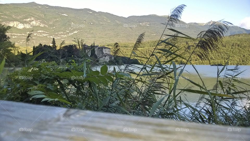 Vista del castel toblino tra le piante della passeggiata che costeggia il lago di toblino.
View of the castle toblino between plants of the promenade along the lake toblino