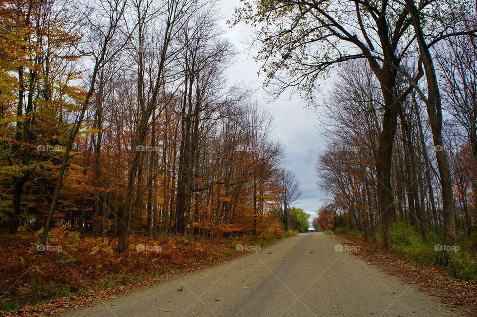 Diminishing view of empty road