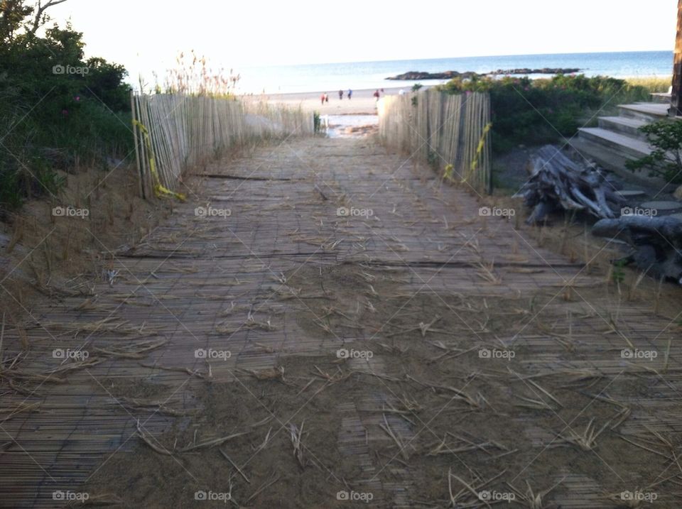 Beach path 