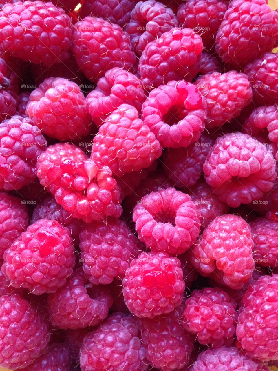 Raspberries. Nyplukkede bringebær