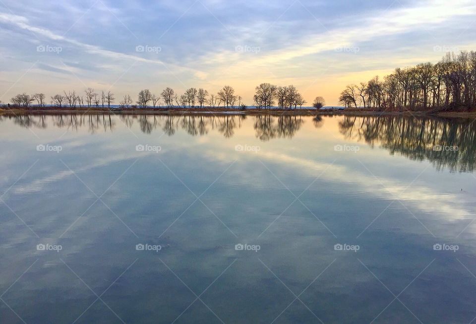 Trees reflecting on the lake