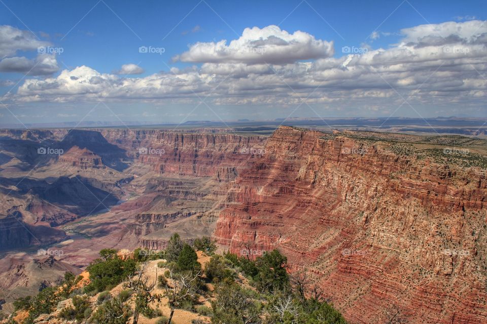 The Grand Canyon national park 