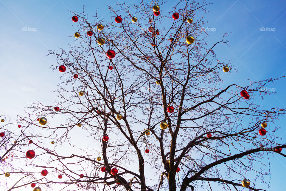 Bright christmas decorations on defoliated tree in Moscow, Russia