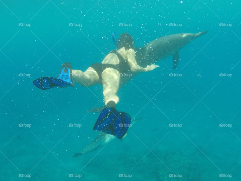 Swimming with Dolphins