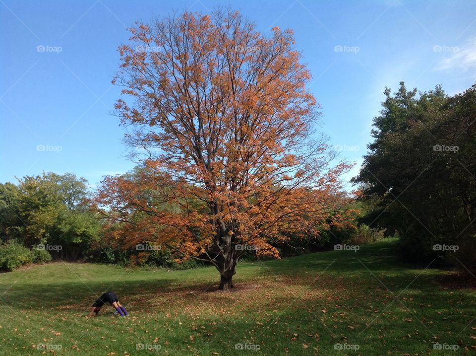 Runner stretching by tree