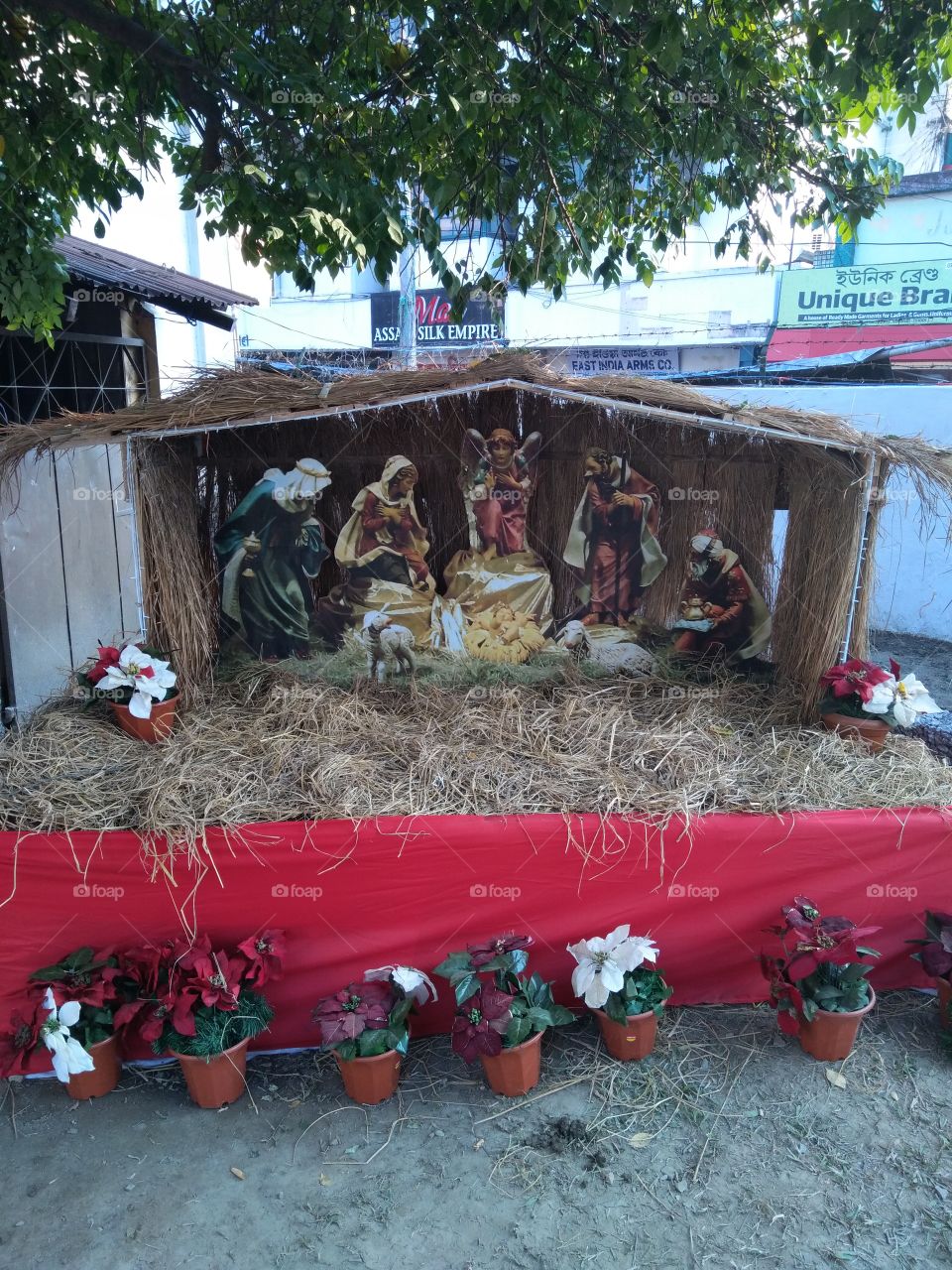 Depicting birth of Jesus Christ