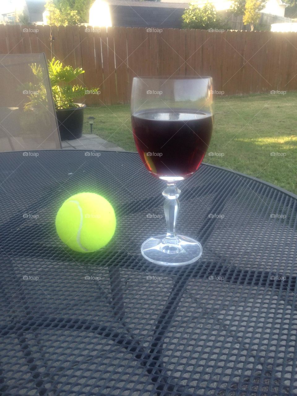 Afternoon with My Dog