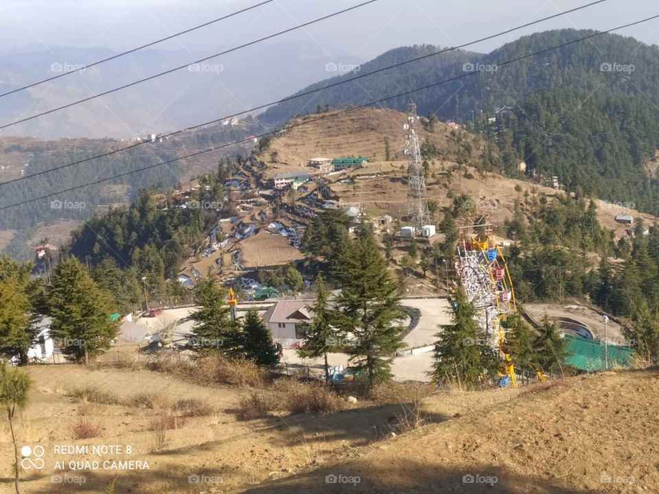 mountains with shadow of trees
