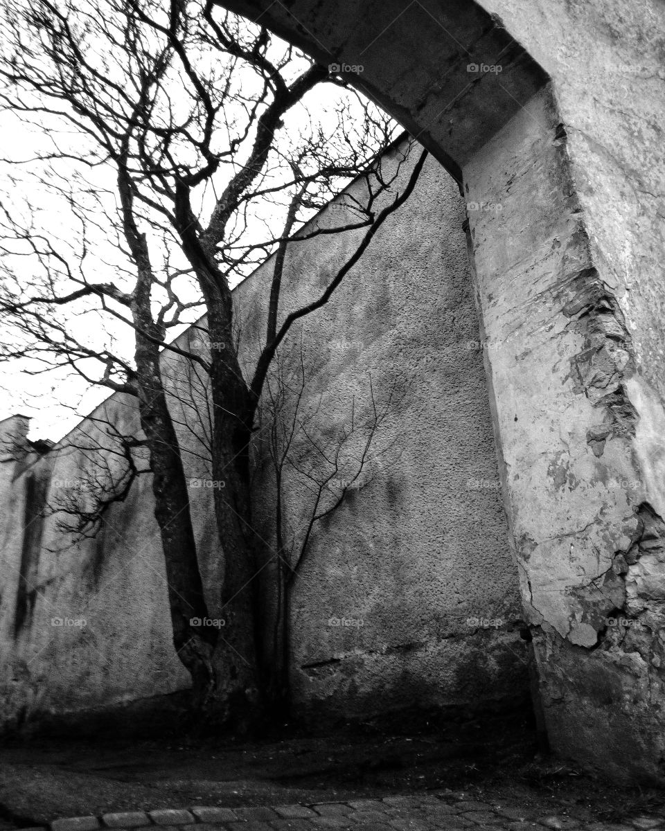 "The most colorful thing in the world is black and white, it contains all colors and at the same time excludes all."
~ Vikrmn, 10 Alone