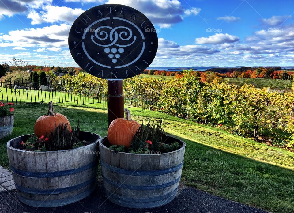 Fall in Michigan wine country