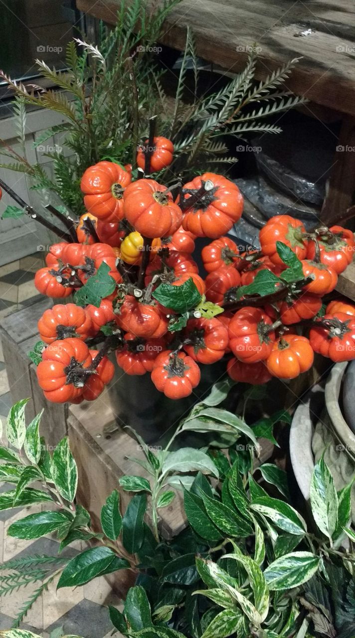 Fall Arrangement at Shop