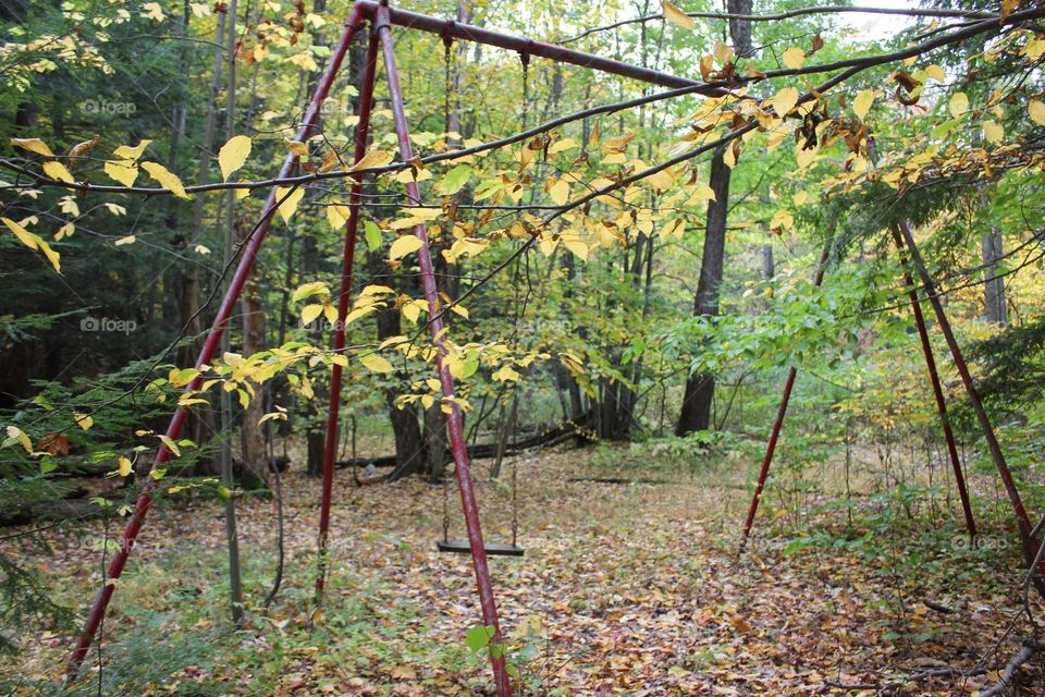 Swing set in the woods in the autumn