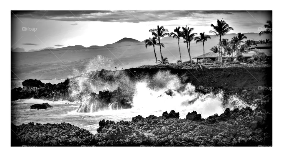 Splash
