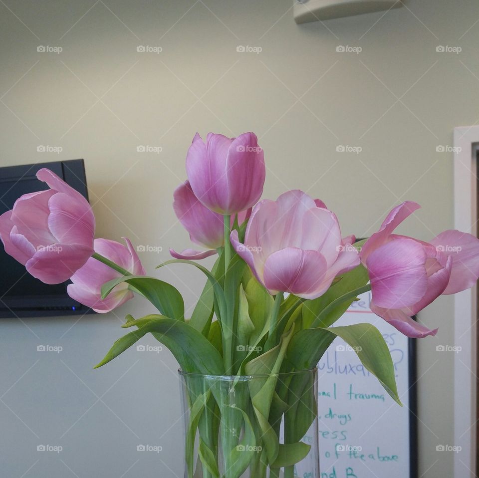 flowers at the office