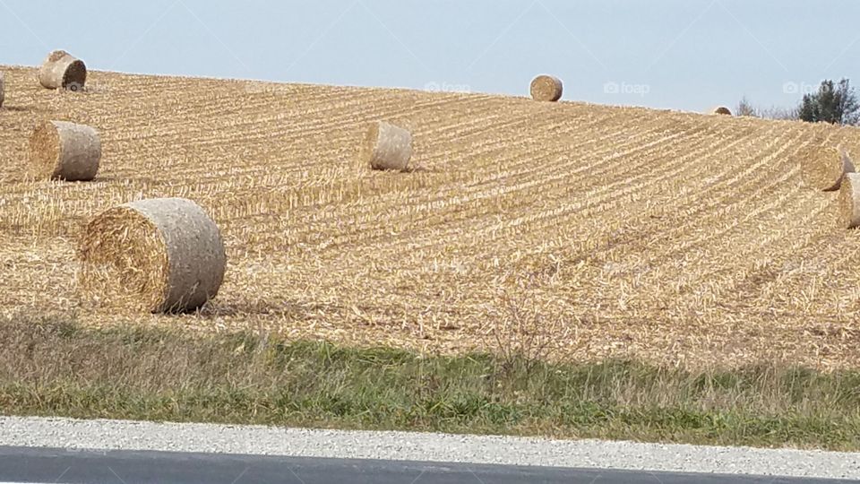 baled hayfield