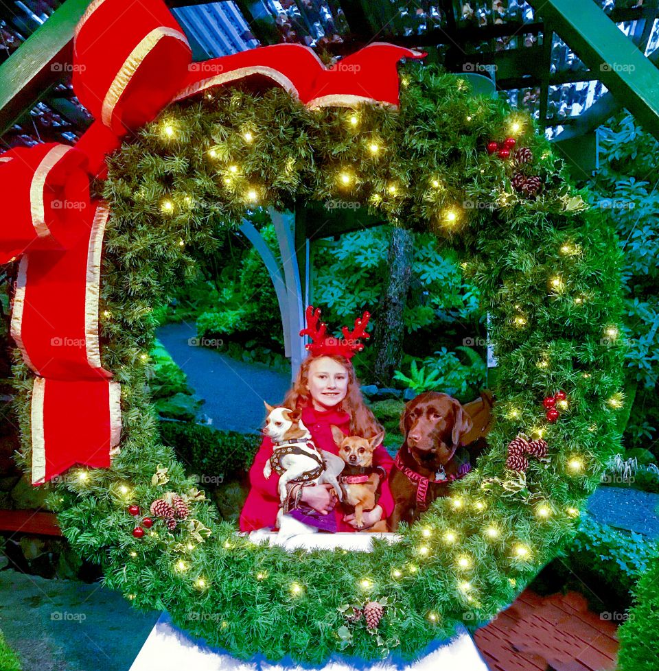 Girl and her dogs in a Christmas wreath 
