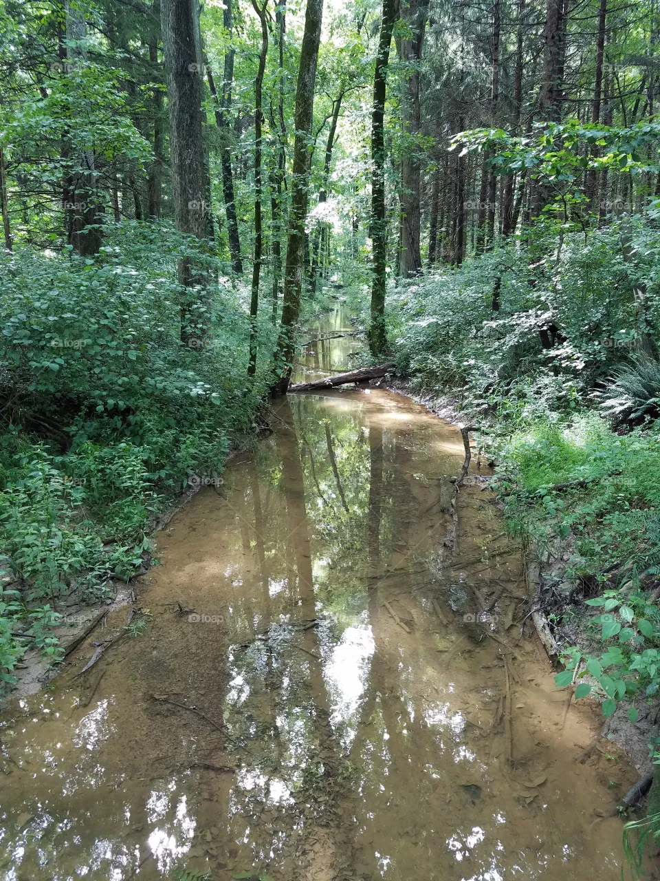 Creek