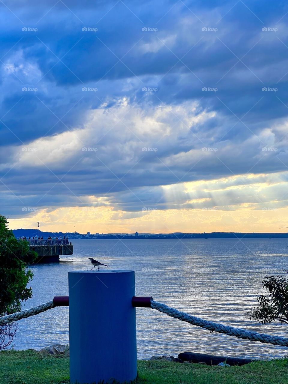 A serene scene with a lonely bird perched on a white pole next to a quiet body of water. The background is adorned with dramatic blue skies, illuminated by sun rays crossing the clouds, throwing reflections on the surface of the water