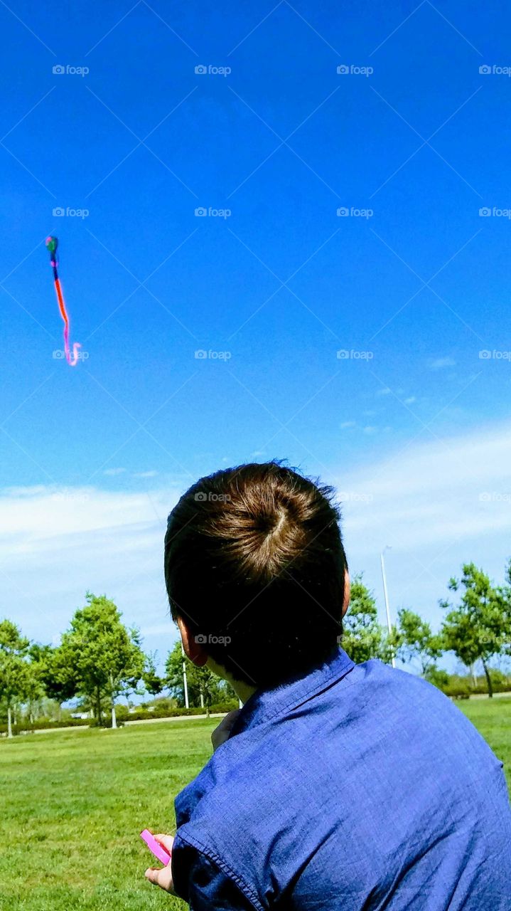 kite up high