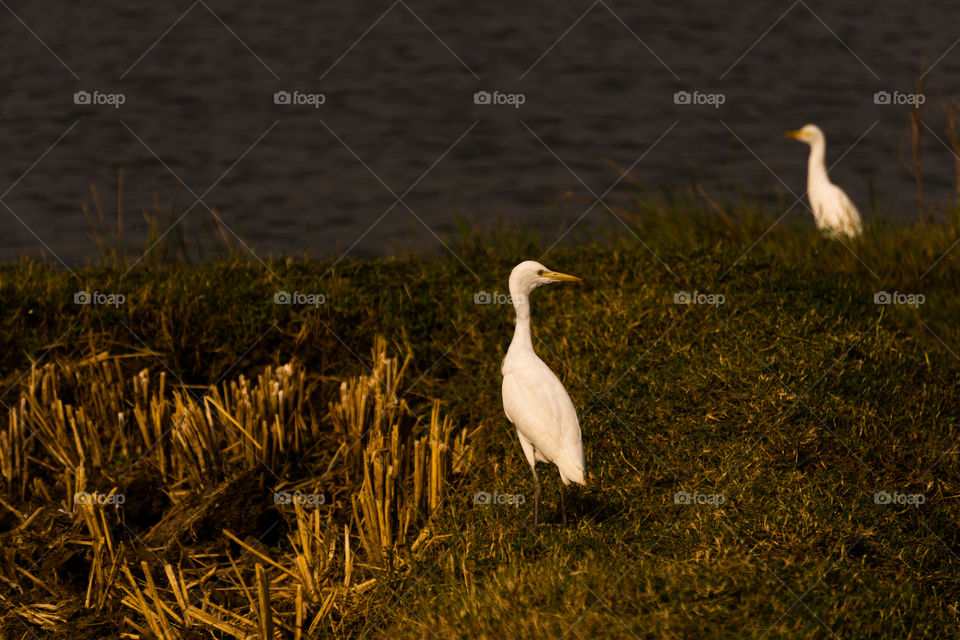 Nature is so beautifull capture it because every moment nature is changed