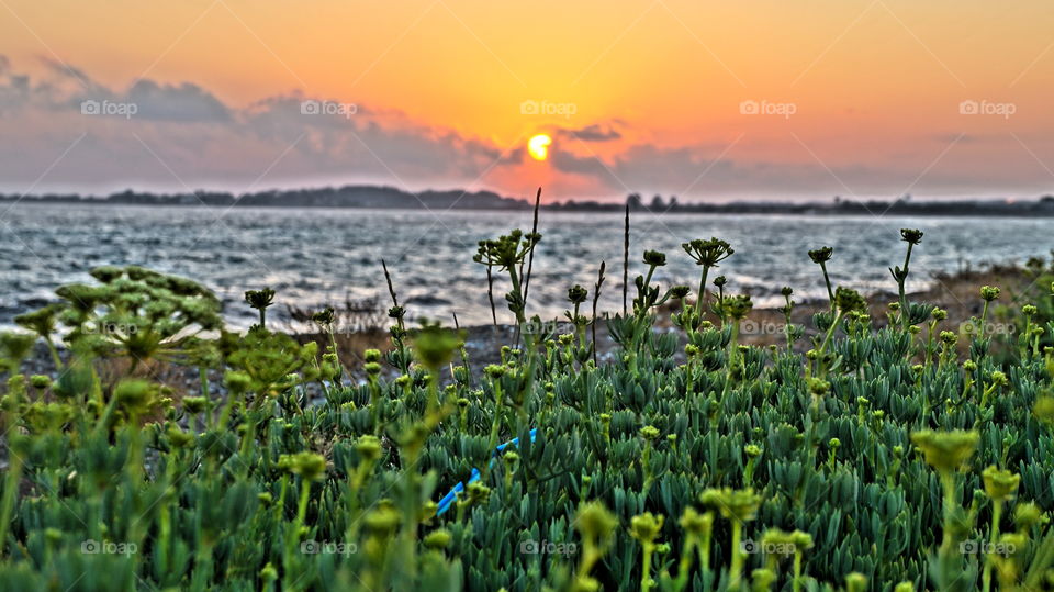 Green sunset. Cyprus sunset 