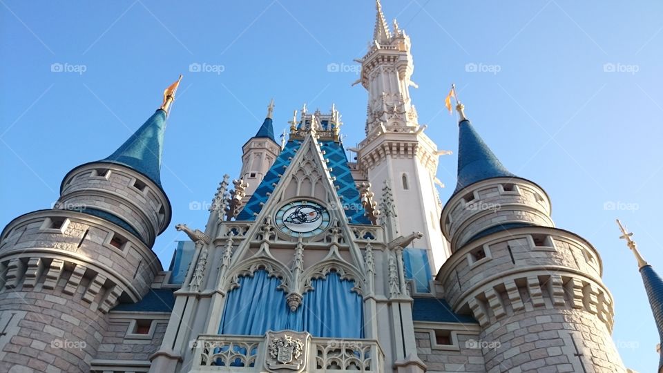 Cinderella castle
