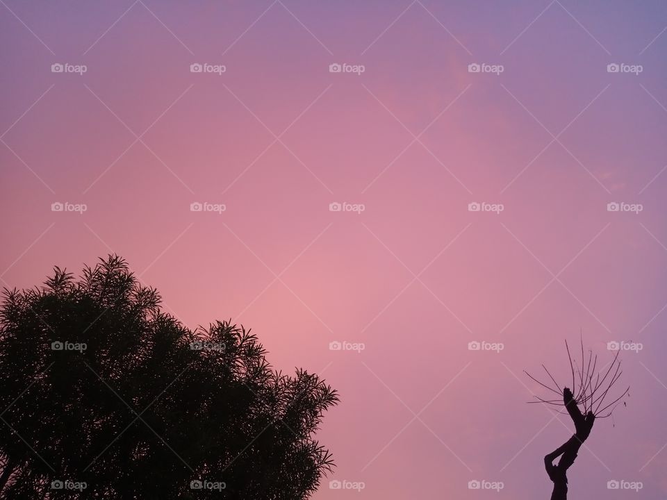 Rare pink and purple sky in Jaipur, India.