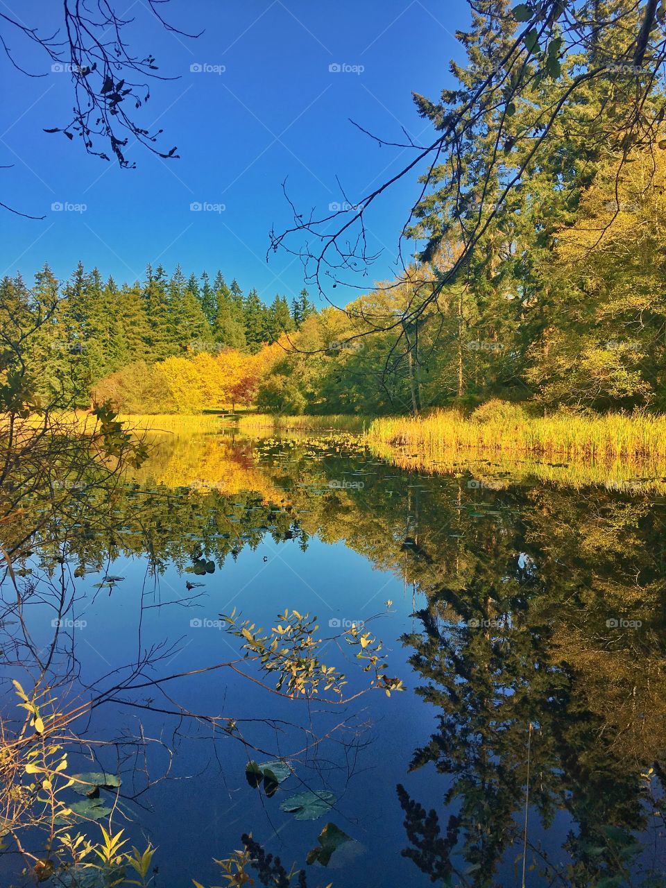 Fall on the Kitsap Peninsula 