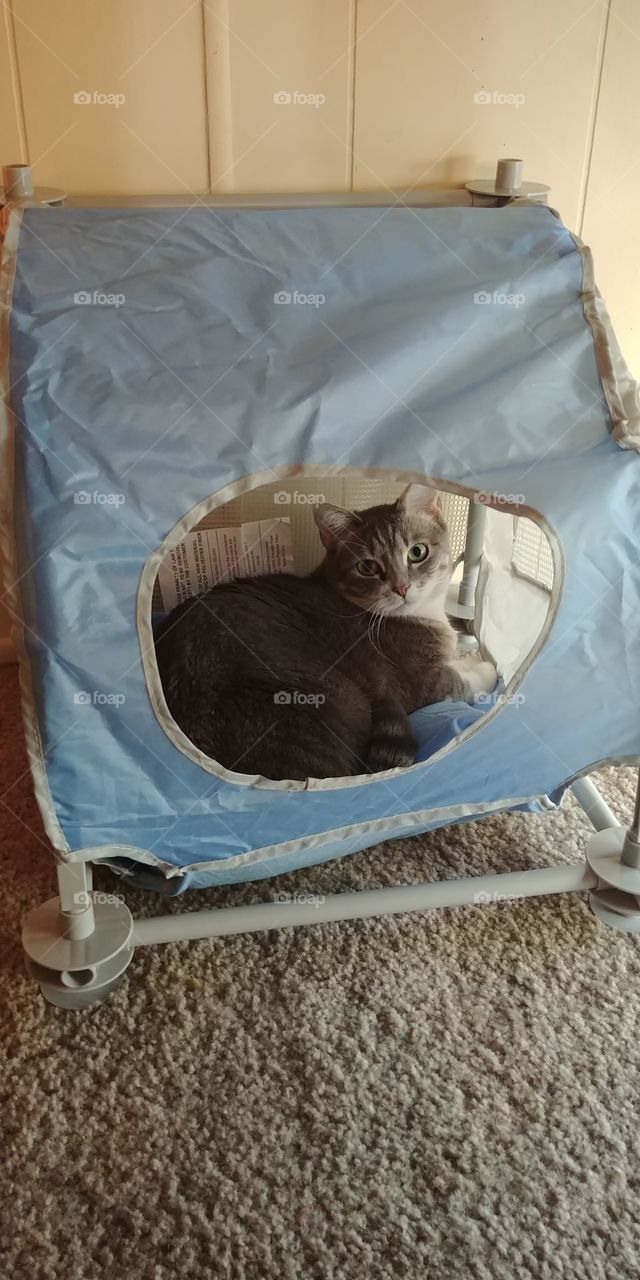 Princess in her tent
